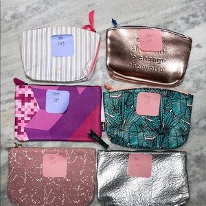 Ipsy 6pc 2019 Bags